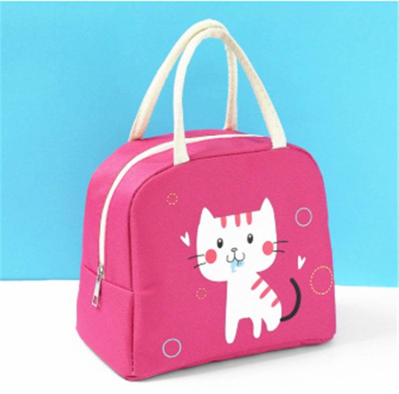 Girls Oxford Cloth Insulated Cartoon Lunch Bag for kids - www.Shopthatapp.com