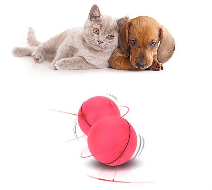 LED Laser Electronic Rolling Pet Funny Cat Toy Ball - www.Shopthatapp.com