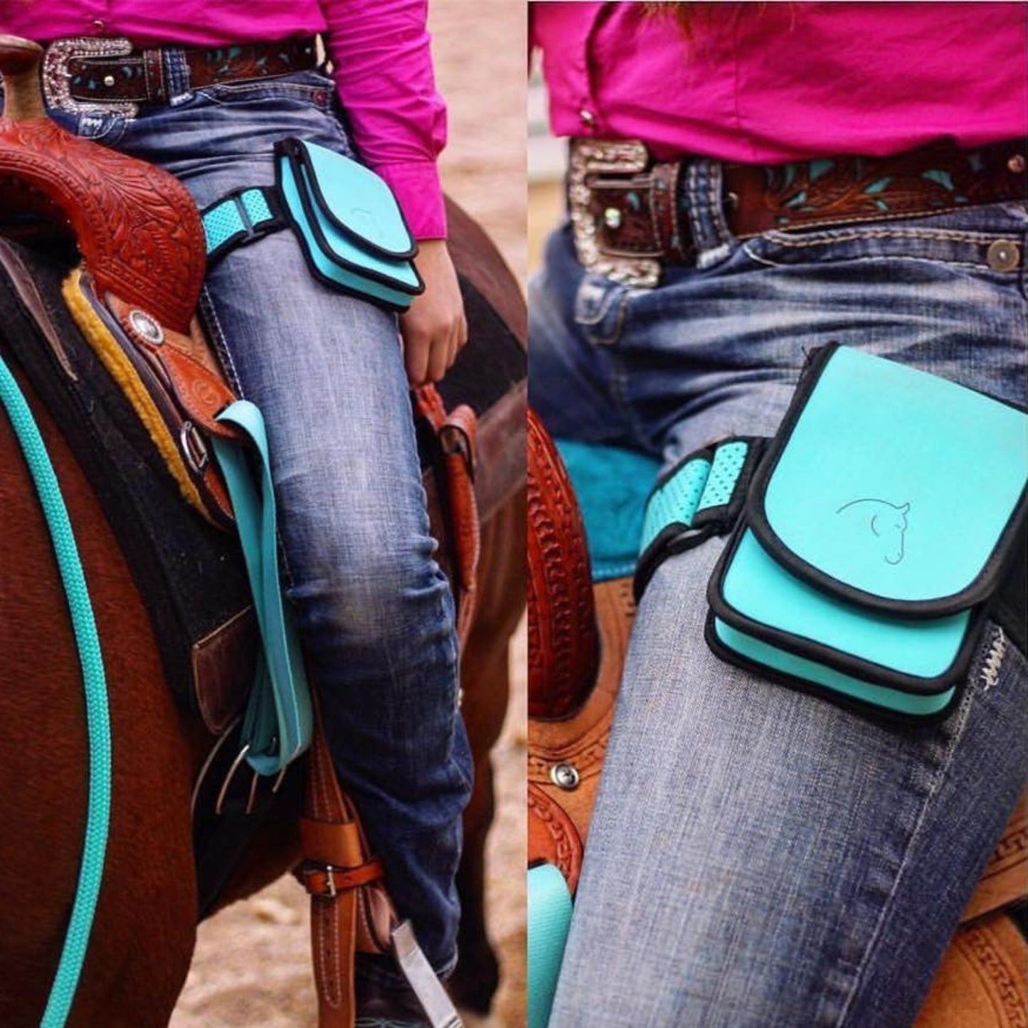 Horse Holster