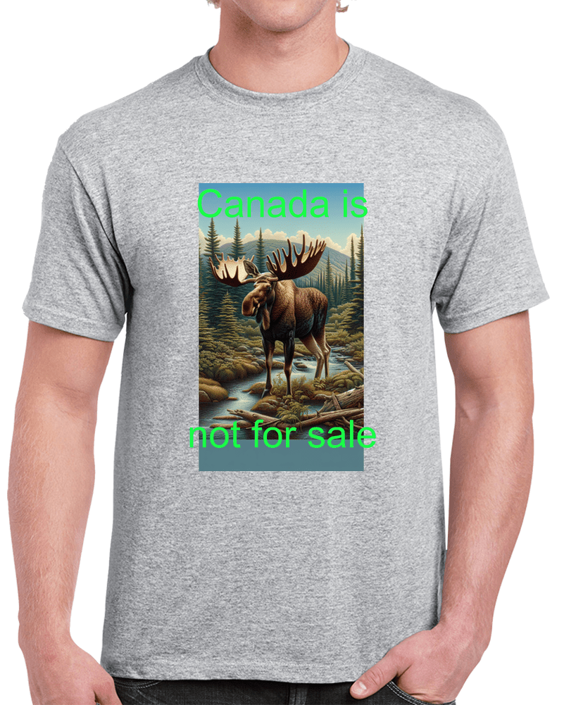 Not for sale T Shirt