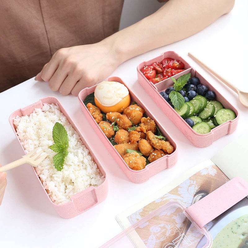 Microwave-Safe Multi Layer Lunch Box for Kids - www.Shopthatapp.com