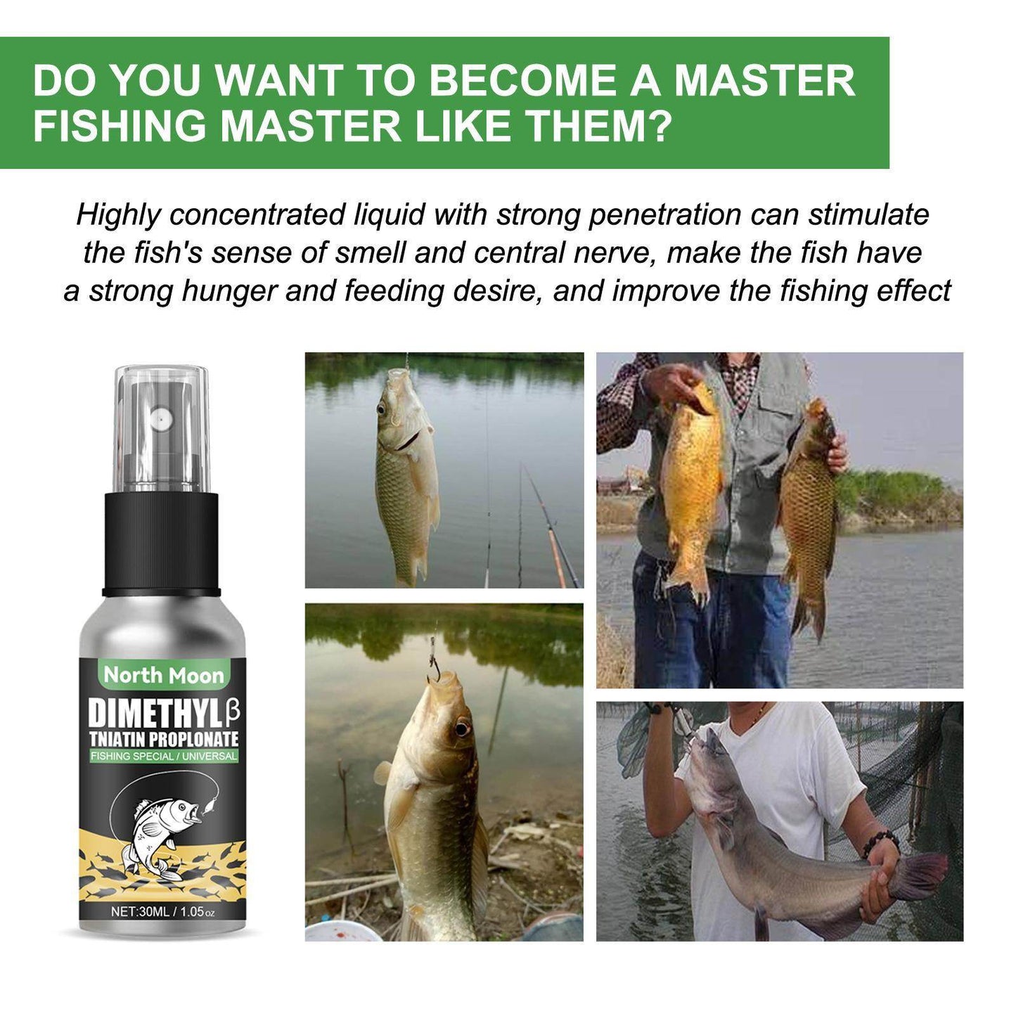 Igbang Wild Fishing Bait Small Medicine Fish Attractant - www.Shopthatapp.com