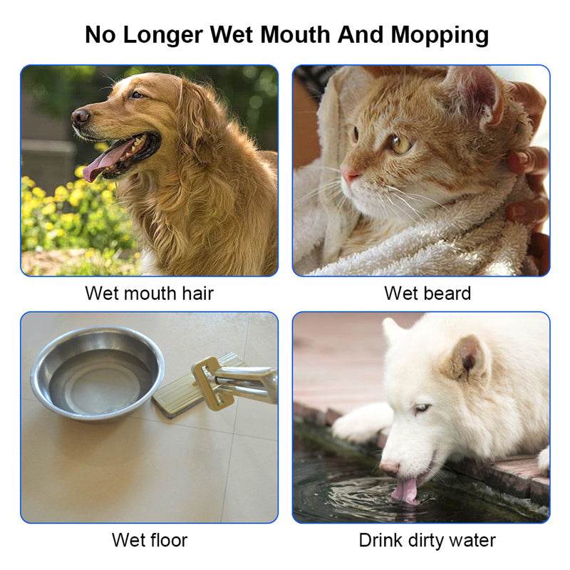 Cat Dog Water Bowl Anti Splash Design - www.Shopthatapp.com