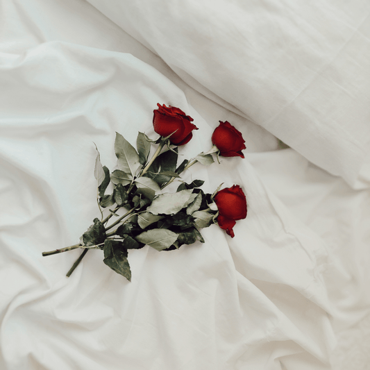 Dozen Red Roses - www.Shopthatapp.com