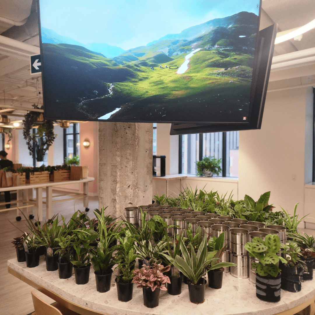 Bar à plantes