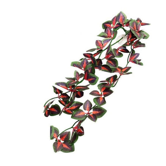 Feuilles REPTIZOO Folium Perillae 20" #TP005