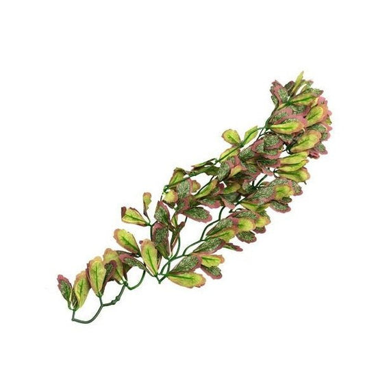 REPTIZOO Var Marginatum 20" #TP006