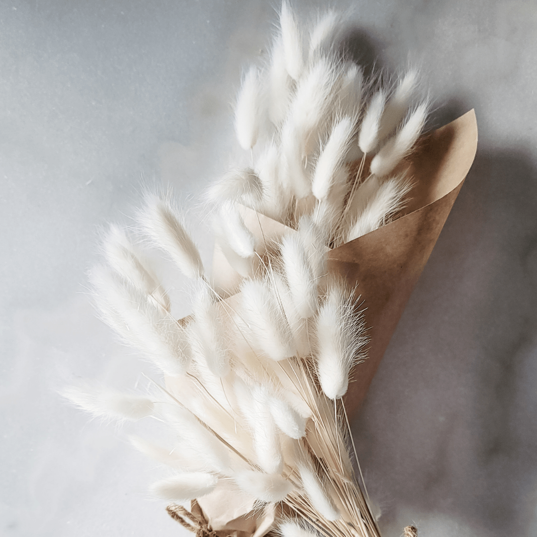 Bunnytails - White - www.Shopthatapp.com
