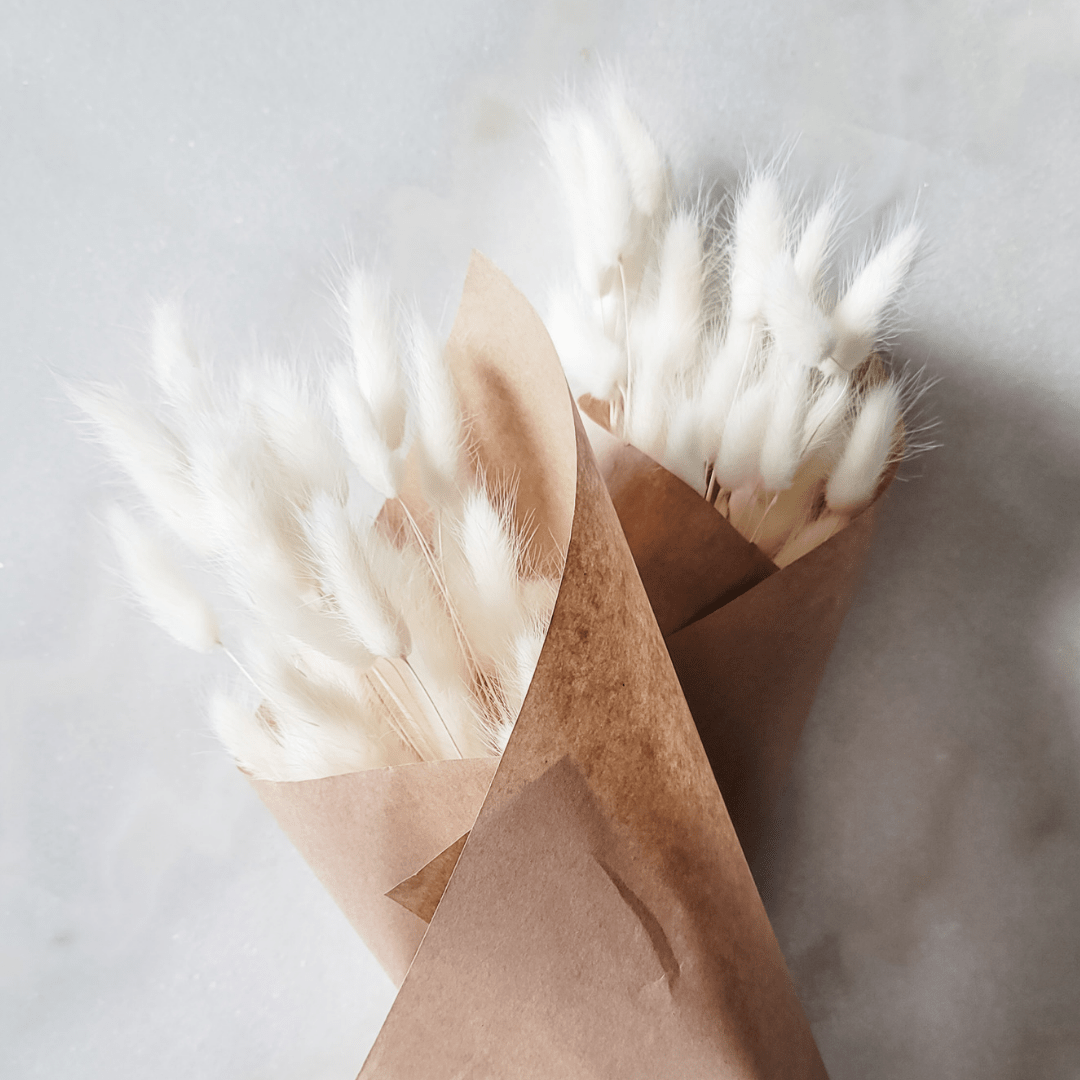 Bunnytails - White - www.Shopthatapp.com