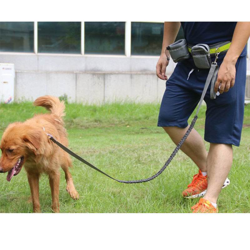 Adjustable Hands Free Dog Leash - www.Shopthatapp.com