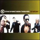 Brand New Heavies / Shelter - CD (Used) - www.Shopthatapp.com