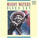 Blues Sky by Muddy Waters - www.Shopthatapp.com
