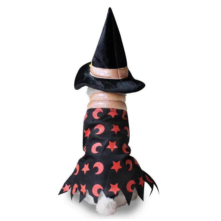 Christmas old man dog clothes - www.Shopthatapp.com