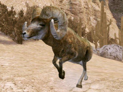 Cabela's Legendary Adventures (usagé) - www.Shopthatapp.com