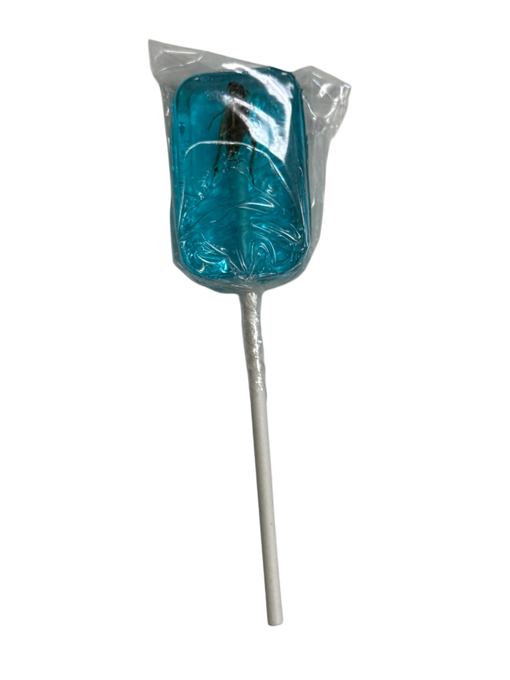 Hotlix Halloween Real Cricket Suckers 31G - U.S Edition - www.Shopthatapp.com