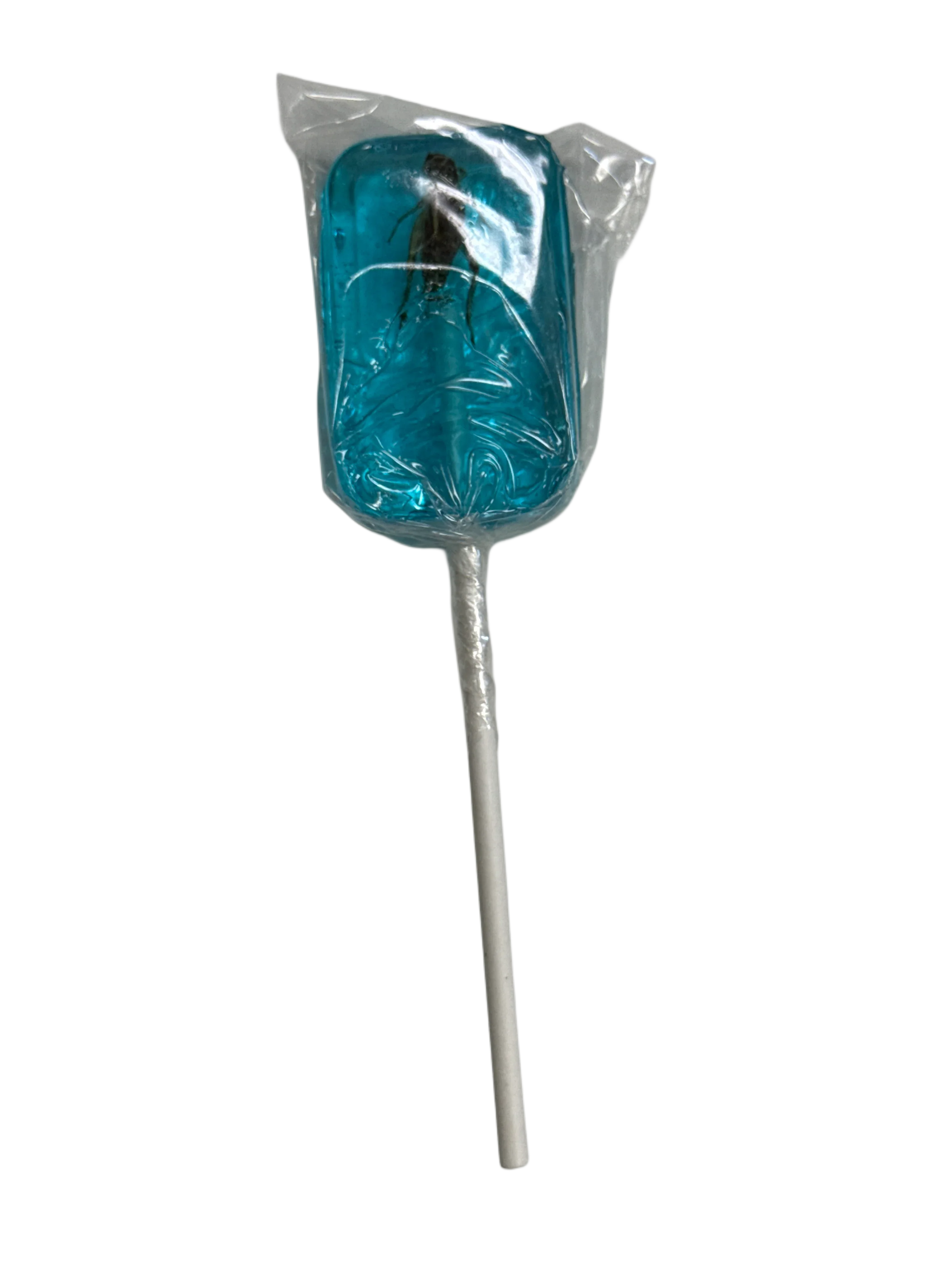 Hotlix Halloween Real Cricket Suckers 31G - U.S Edition - www.Shopthatapp.com