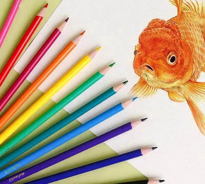 24 Color Creative Color Lead Set Training Organization - www.Shopthatapp.com