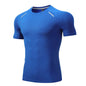 Muscle fit Gym T-shirt exercise shirts men's athletic shirt
