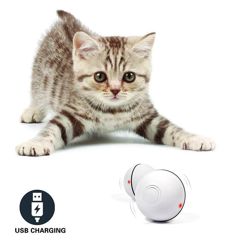 LED Laser Electronic Rolling Pet Funny Cat Toy Ball - www.Shopthatapp.com