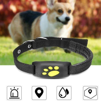 GPS Pet Tracker GPS Dog fence - www.Shopthatapp.com