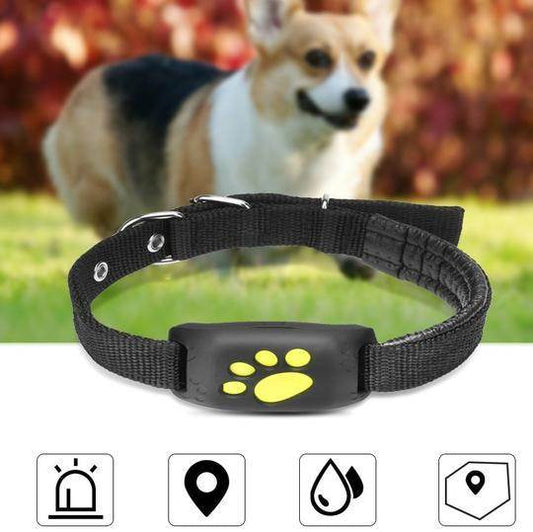 GPS Pet Tracker GPS Dog fence - www.Shopthatapp.com