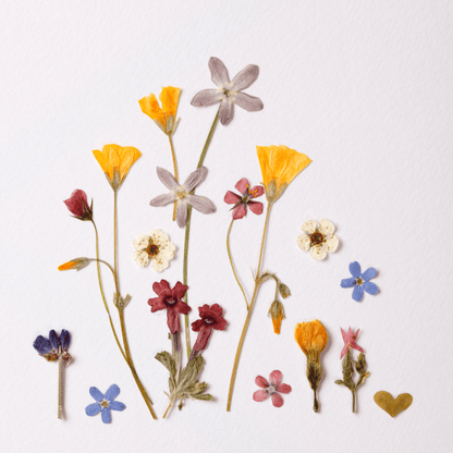 Peinture avec des pétales - Atelier de fleurs pressées