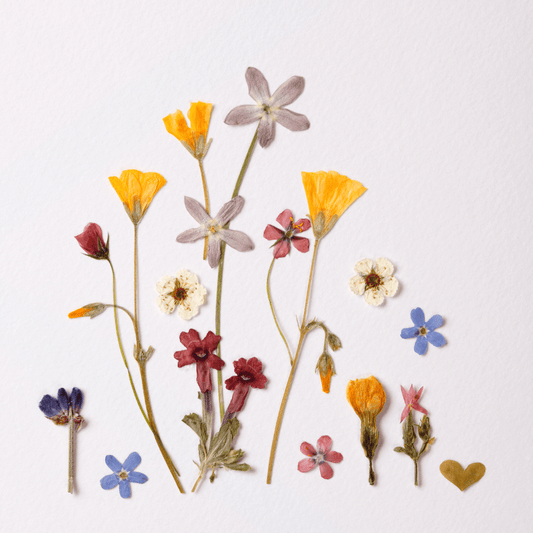 Peinture avec des pétales - Atelier de fleurs pressées