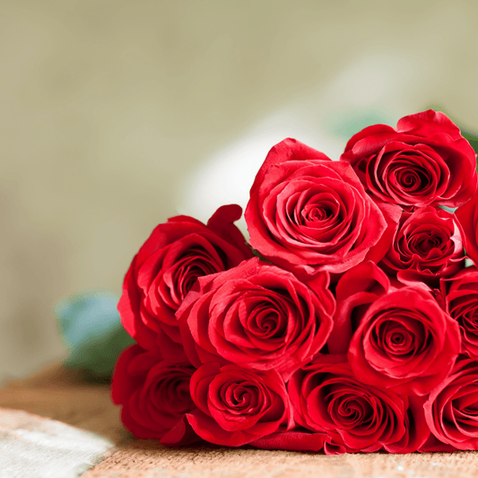 Dozen Red Roses - www.Shopthatapp.com