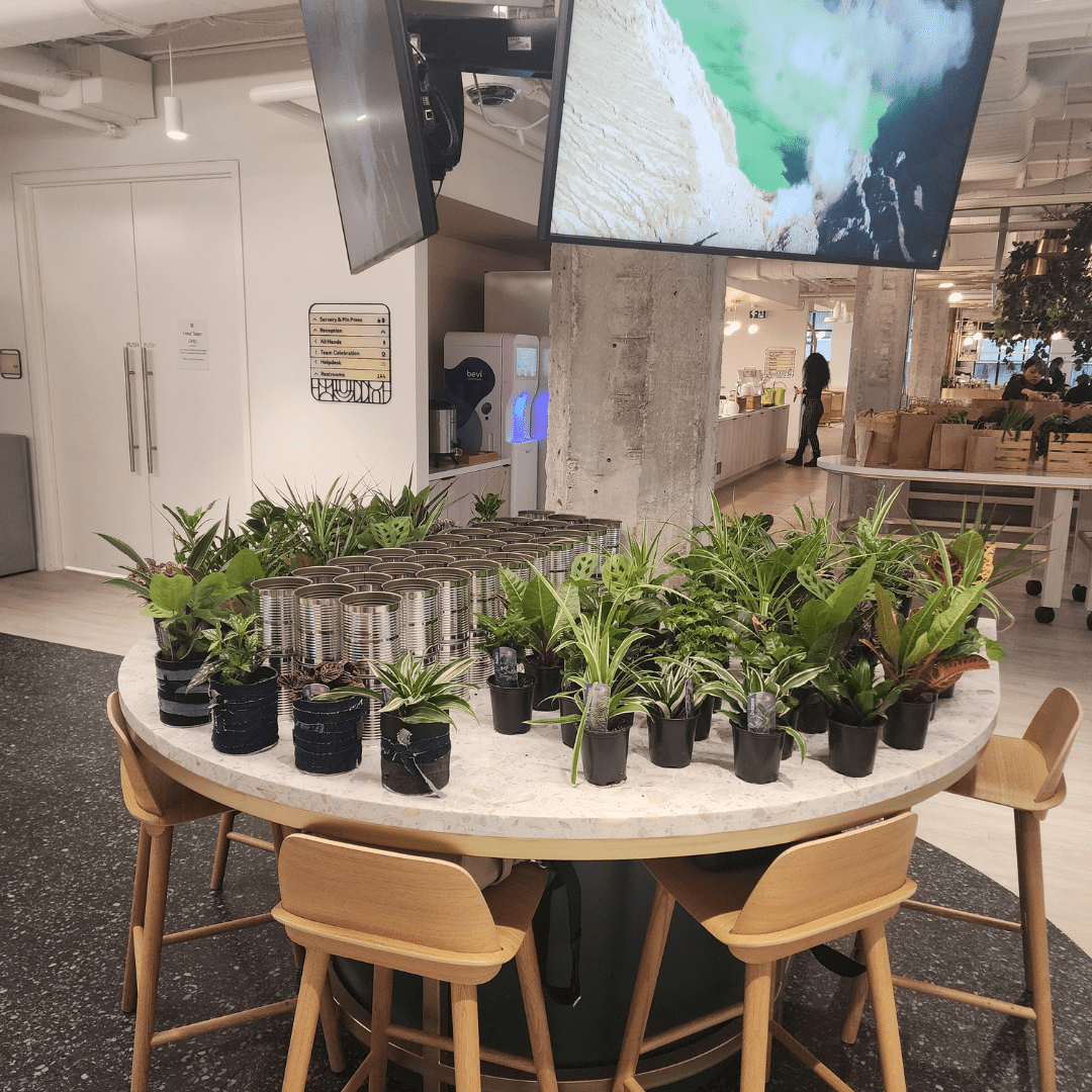 Bar à plantes