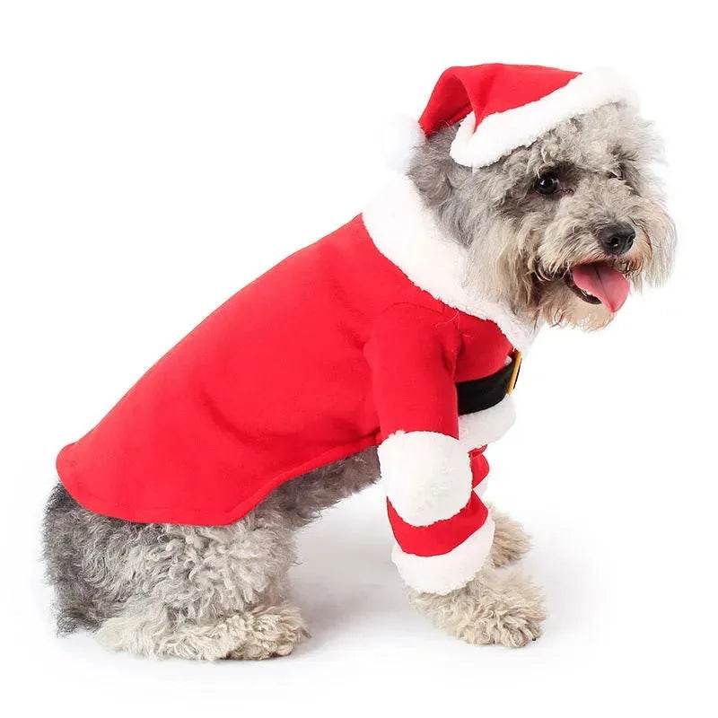 Pet Christmas Decoration Costume Pet Standing Costume - www.Shopthatapp.com