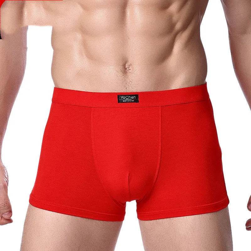 Men's Underwear Boxer Briefs Panties Bamboo Fiber Modal - www.Shopthatapp.com