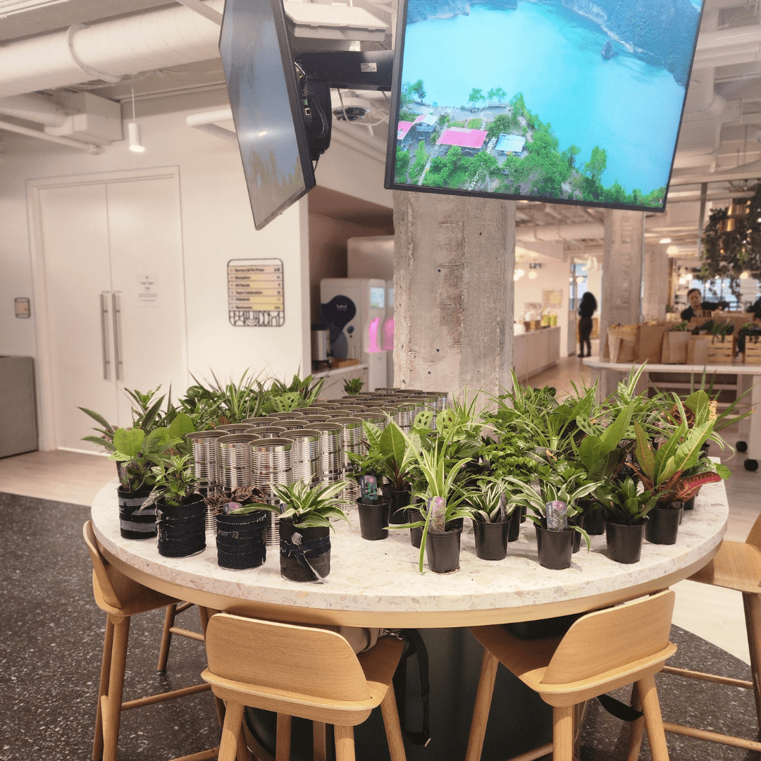Bar à plantes
