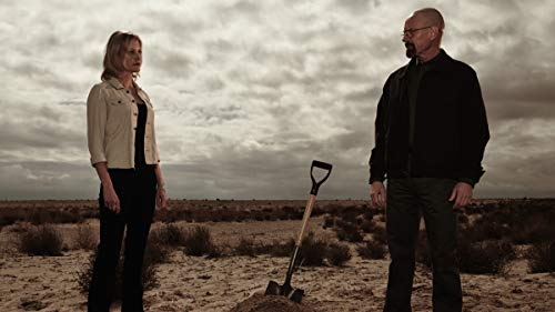 Breaking Bad: The Final Season - DVD (Used) - www.Shopthatapp.com