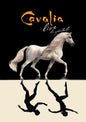 Cavalia Live! - DVD - www.Shopthatapp.com