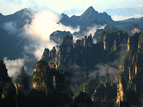 Chine sauvage [Blu-ray] - www.Shopthatapp.com