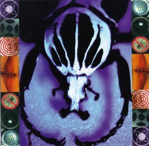 Border Girl - www.Shopthatapp.com