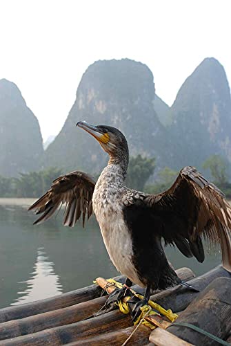 Chine sauvage [Blu-ray] - www.Shopthatapp.com