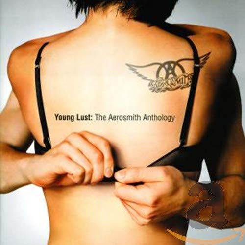 Aerosmith / Young Lust: The Aerosmith Anthology - CD - www.Shopthatapp.com
