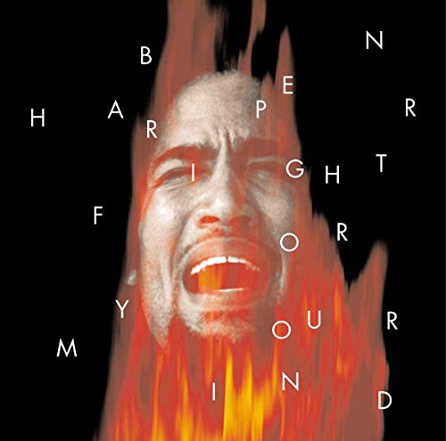 Ben Harper / Fight For Your Mind - CD (Used) - www.Shopthatapp.com