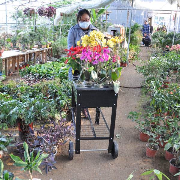 Rolling Mobile Raised Garden Bed Cart Planter Garden Bed Cart - www.Shopthatapp.com