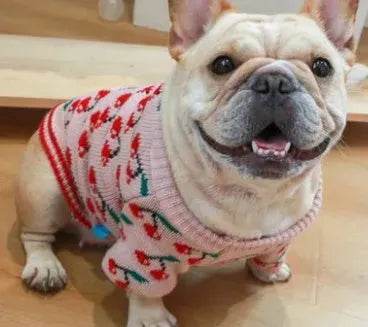 Christmas pet dog sweater - www.Shopthatapp.com