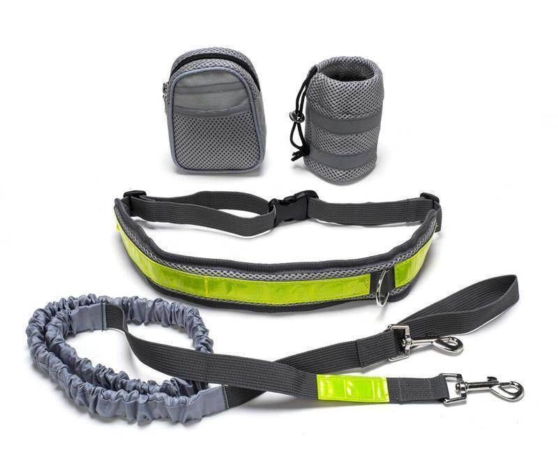 Adjustable Hands Free Dog Leash - www.Shopthatapp.com