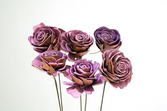 Sola Roses Petites