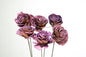 Sola Roses Small - www.Shopthatapp.com