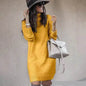 Autumn Winter Woolen Knitted Short Turtleneck Sweater Dress - www.Shopthatapp.com