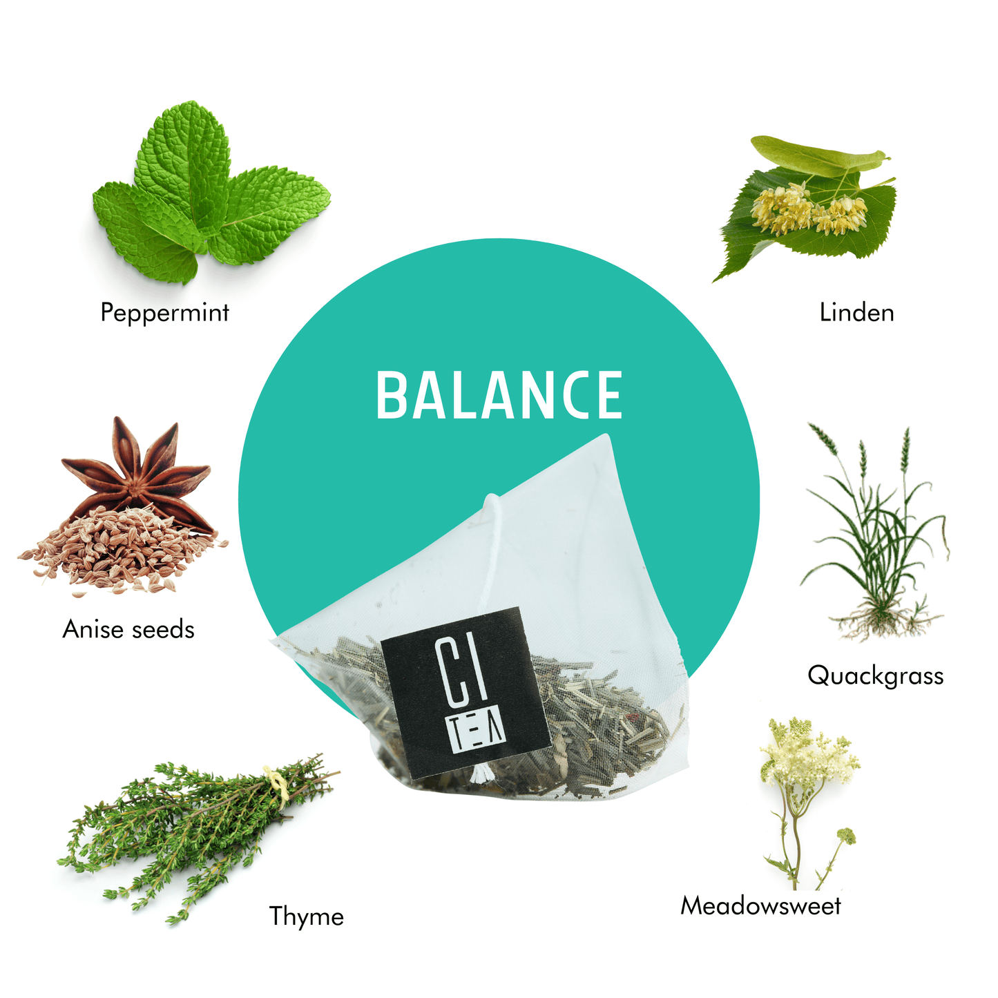 Balance Herbal Tea Pyramid Tea Bags - www.Shopthatapp.com