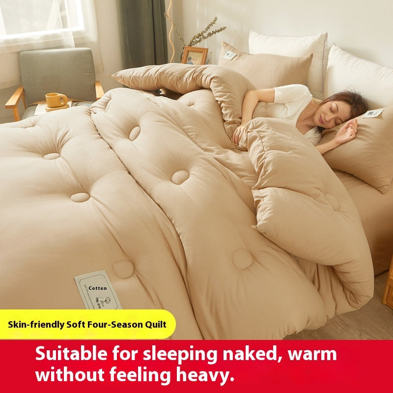 Airable Cover Double Thickened Cotton Duvet Insert - www.Shopthatapp.com