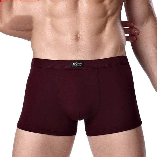Men's Underwear Boxer Briefs Panties Bamboo Fiber Modal - www.Shopthatapp.com