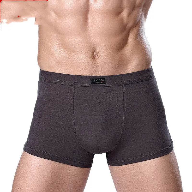 Men's Underwear Boxer Briefs Panties Bamboo Fiber Modal - www.Shopthatapp.com
