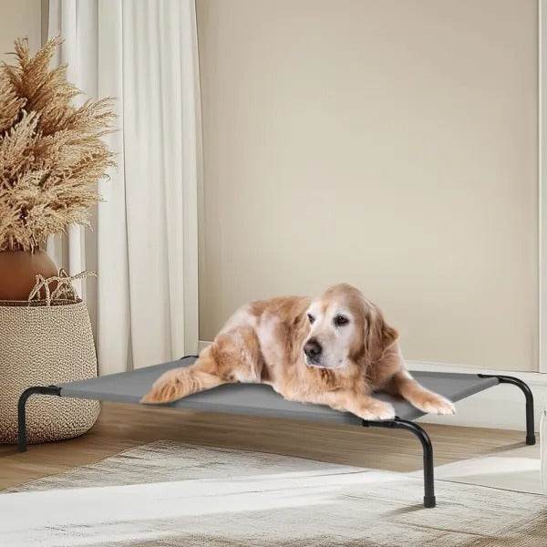 50D X 31W X 8H Dog Bed - www.Shopthatapp.com